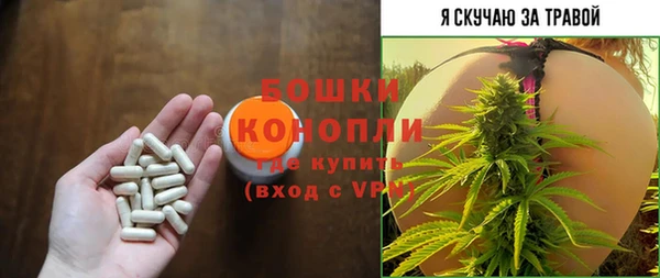 сатива Богородицк
