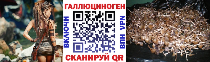 Купить где  Еманжелинск  Галлюциногенные грибы MAGIC MUSHROOMS 